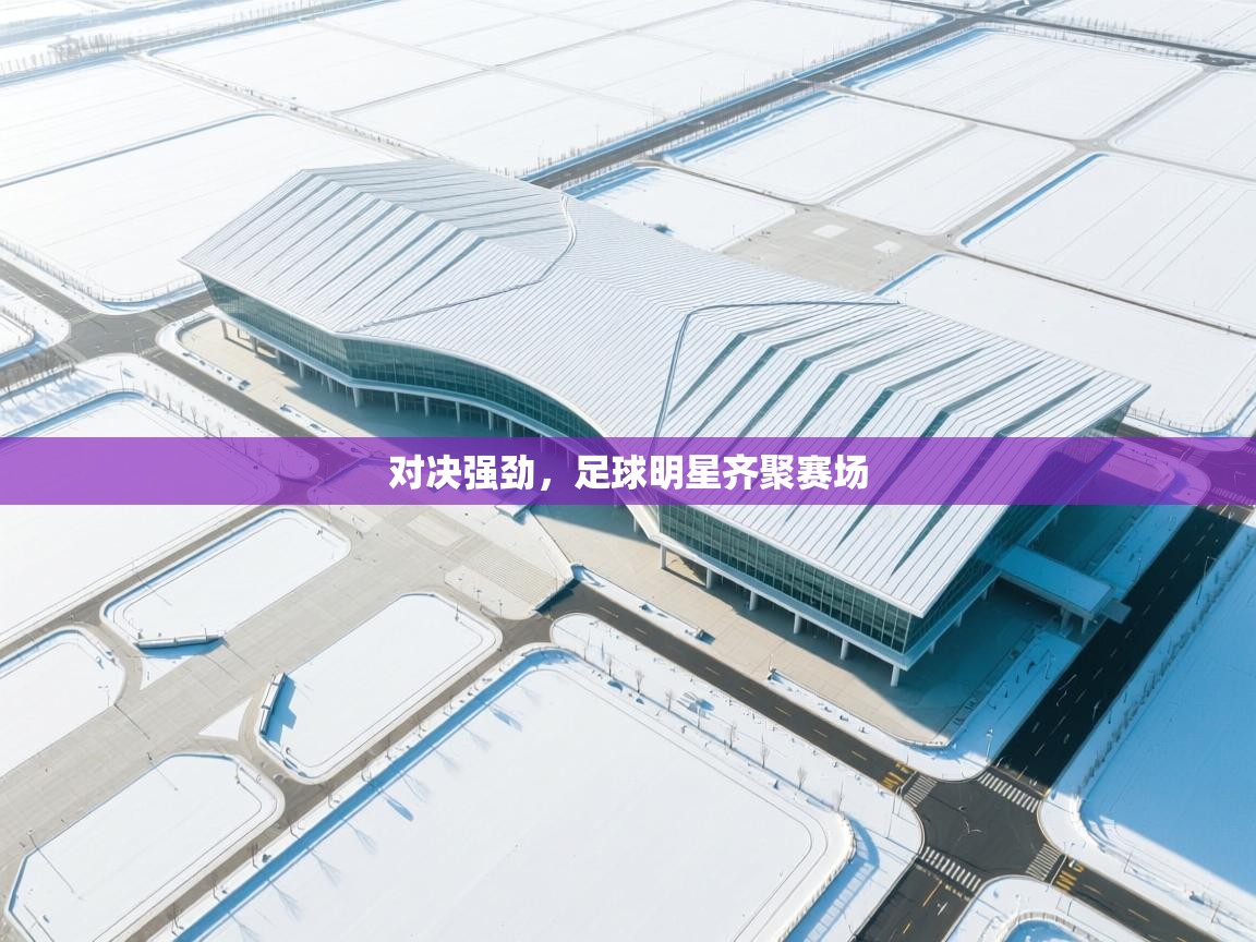 对决强劲，足球明星齐聚赛场  第1张