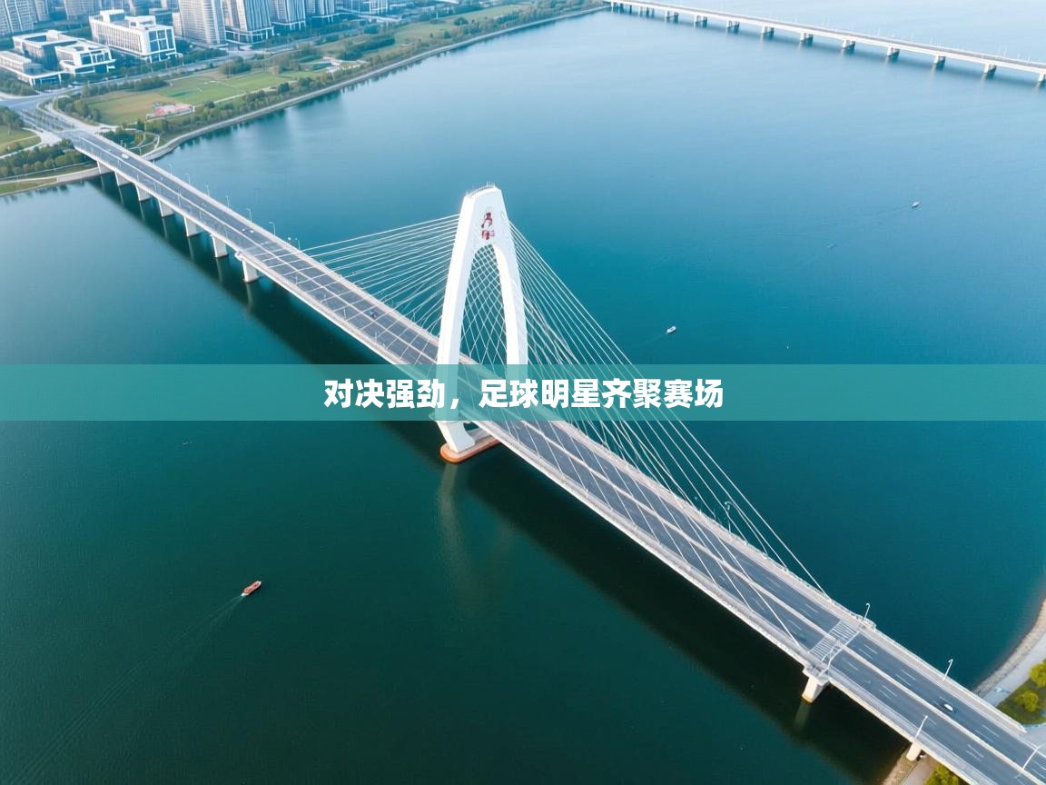 对决强劲，足球明星齐聚赛场  第2张