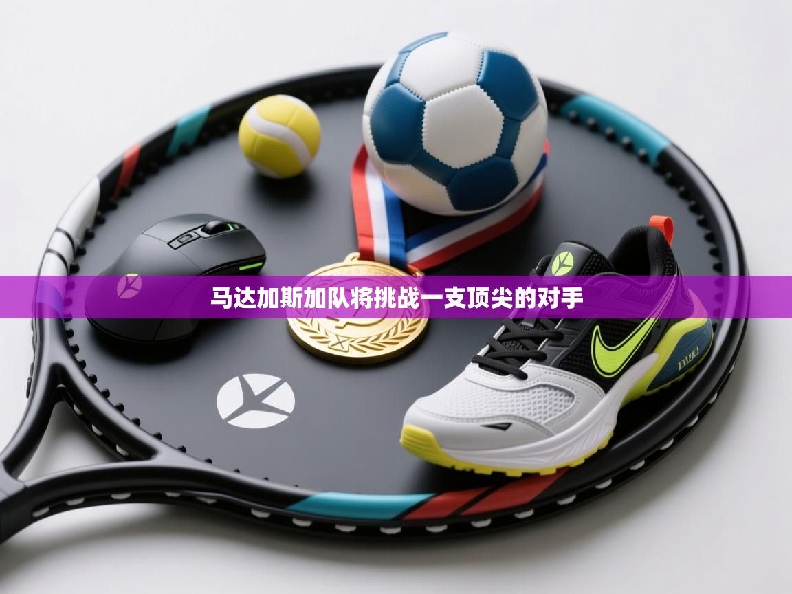 马达加斯加队将挑战一支顶尖的对手 第1张